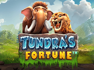 ٹنڈرا فارچون game thumbnail